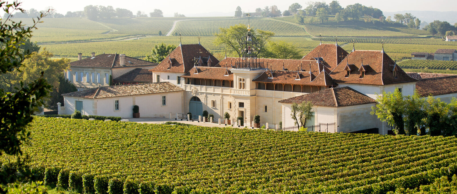 Wine & Dine Château Angélus 