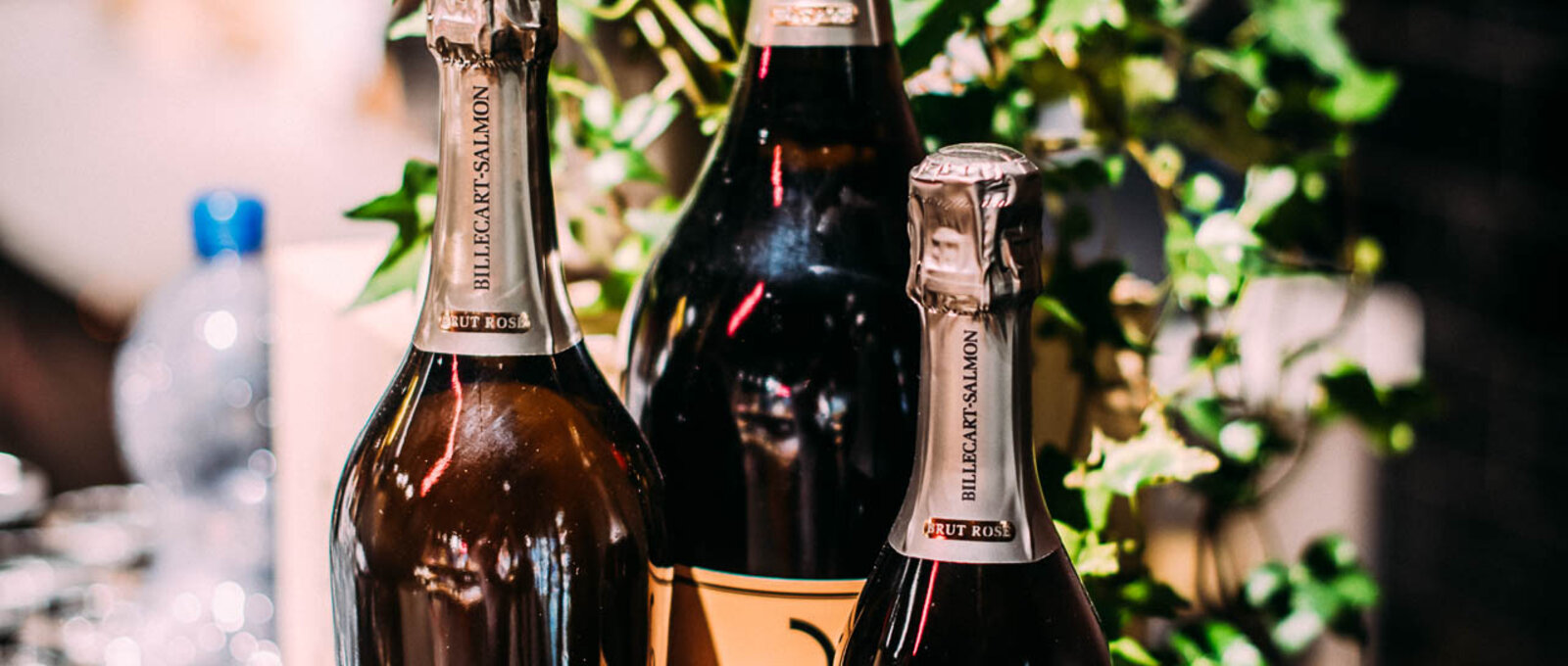 Loeb Bern Afterwork Apéro Bubbles & Pearls