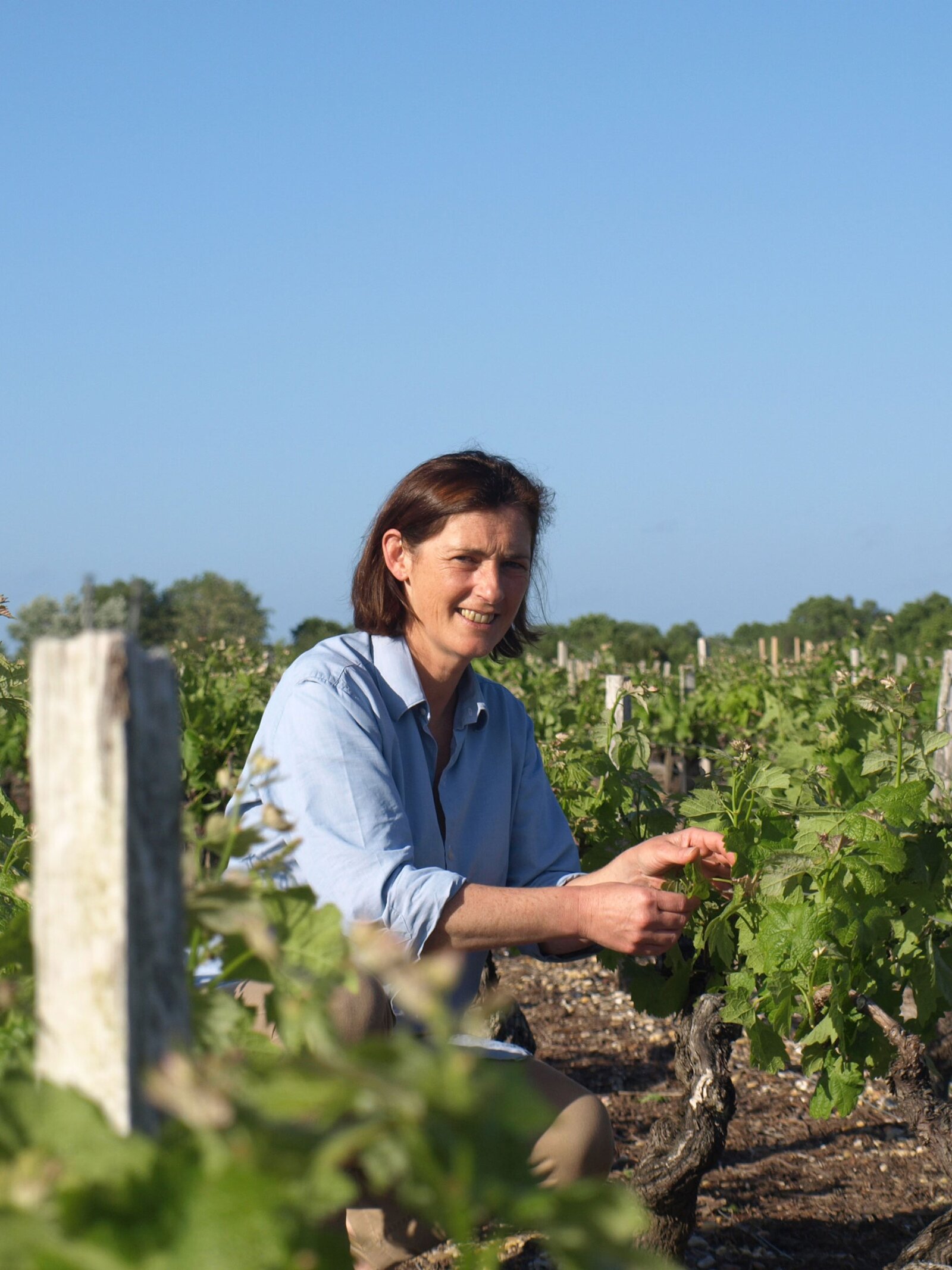 Winzer von Château Croix de Mai