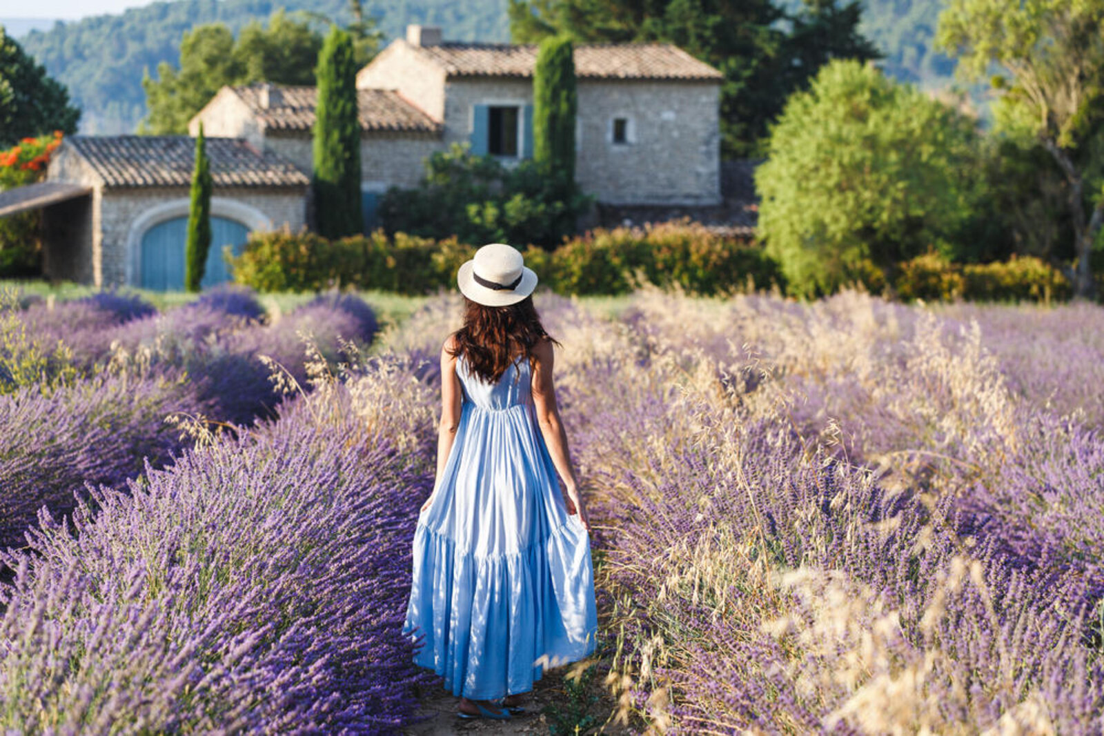 Produzent Le Cellier de l'Amitié - Maison Giambagli