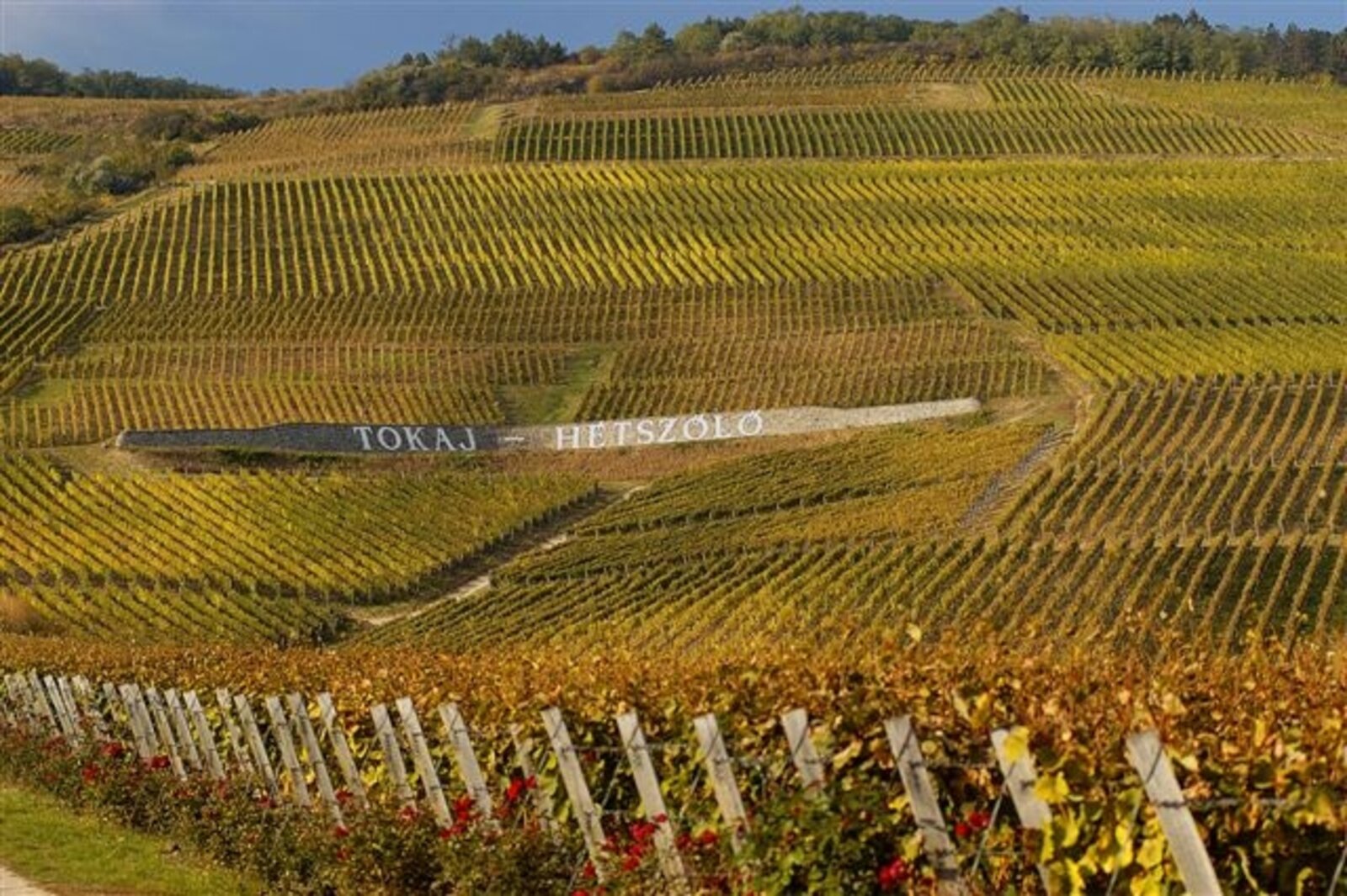 Weingut Tokaj -Hétszölö