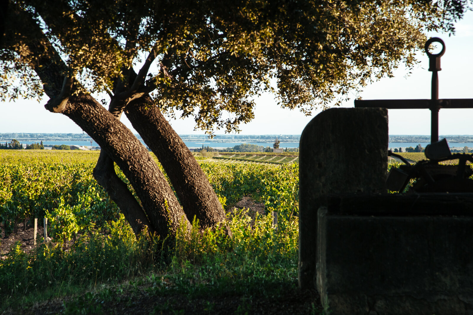 Domaine Gassier