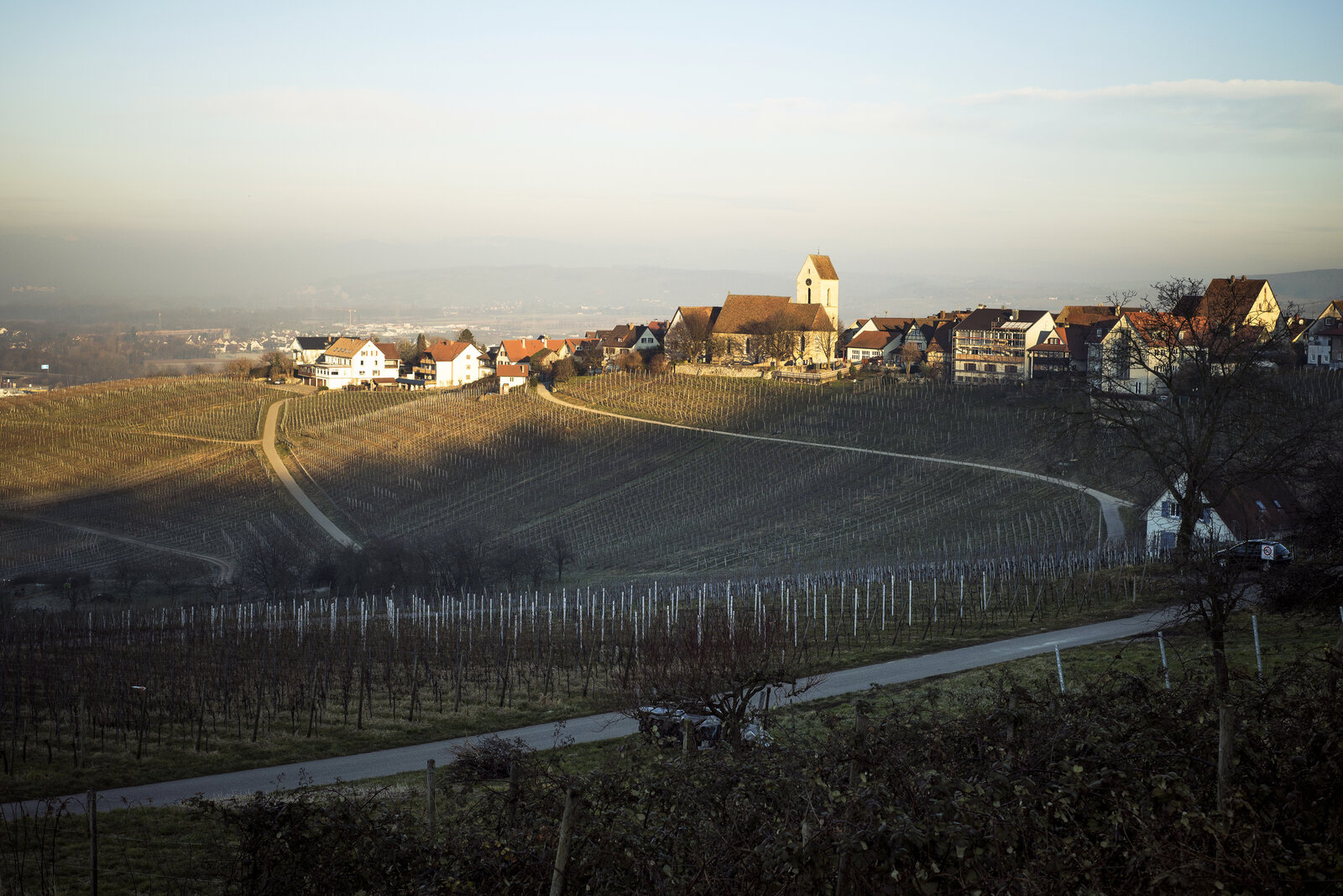 Terroir Weingut Claus Schneider