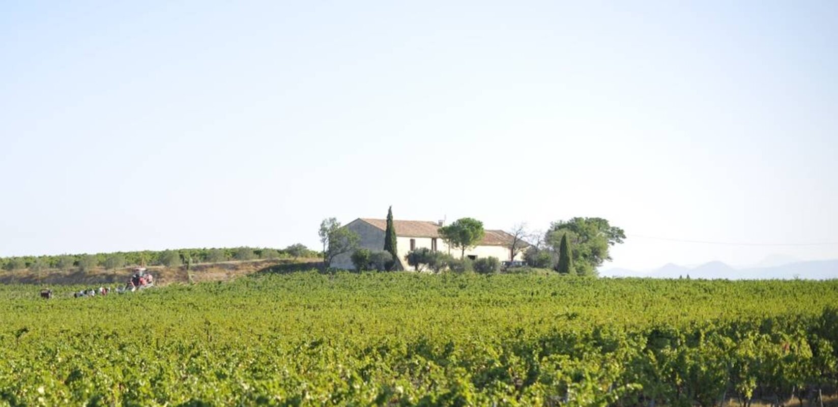 Terroir Clos St. Antonin