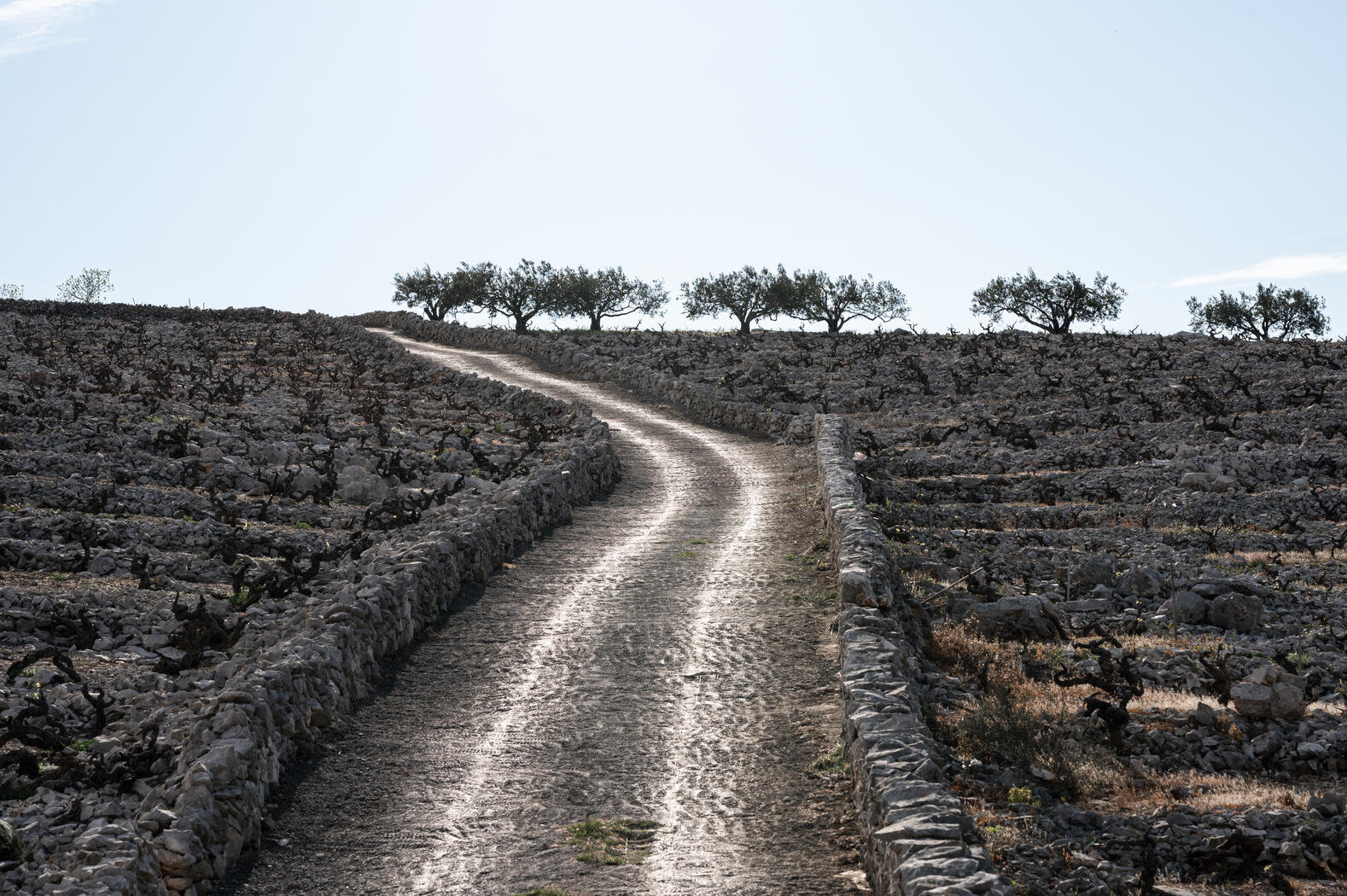 Terroir von Vinas Mora