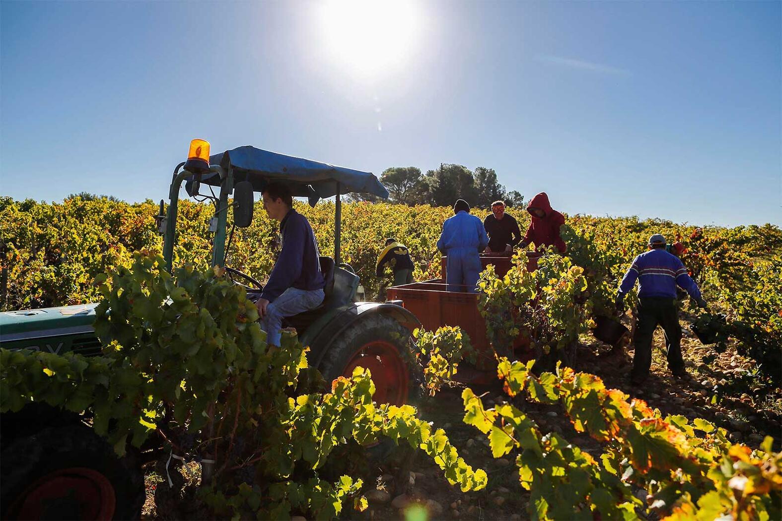 Terroir Le Clos du Caillou