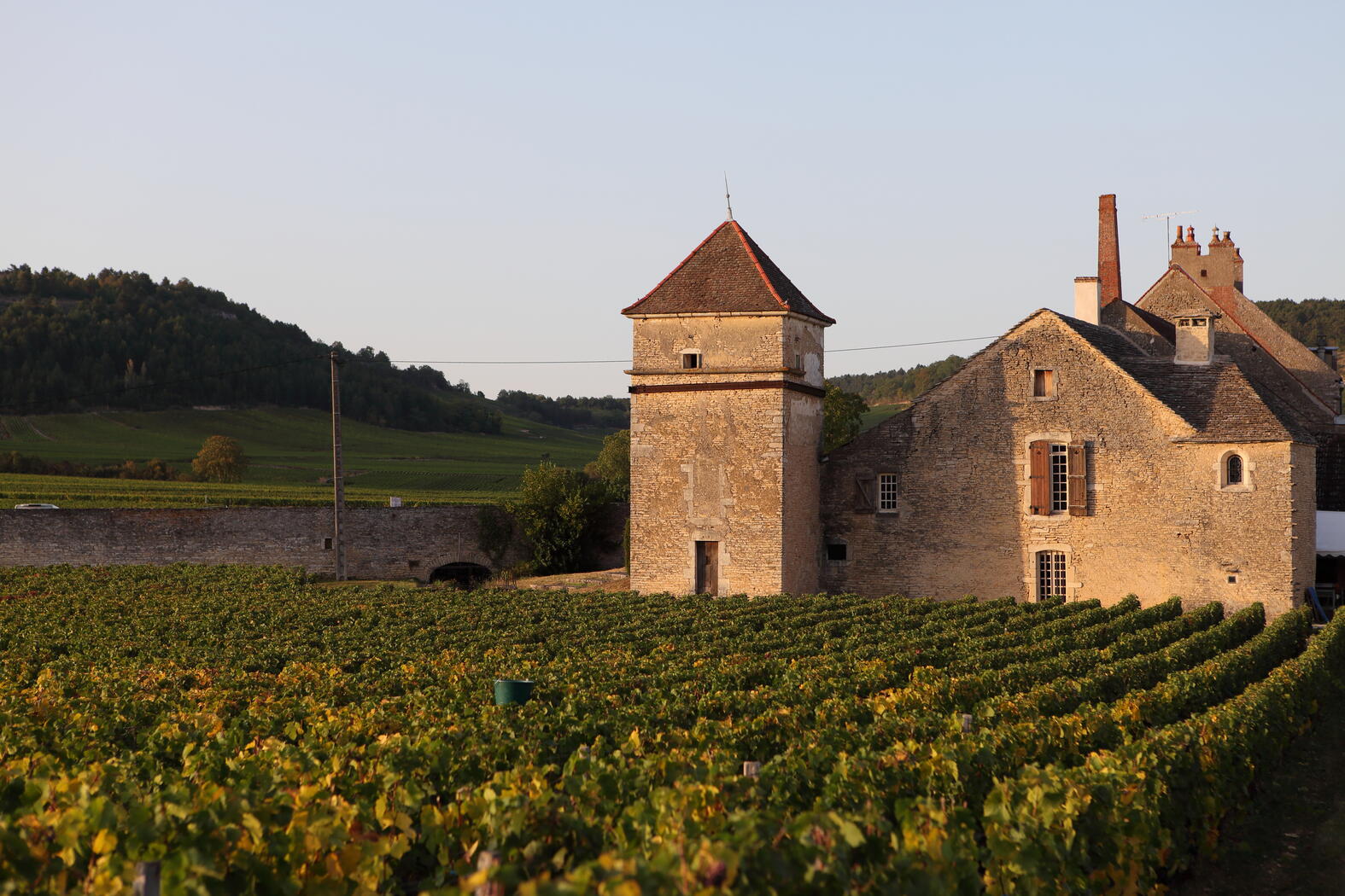 Weingut Clos aux Moines