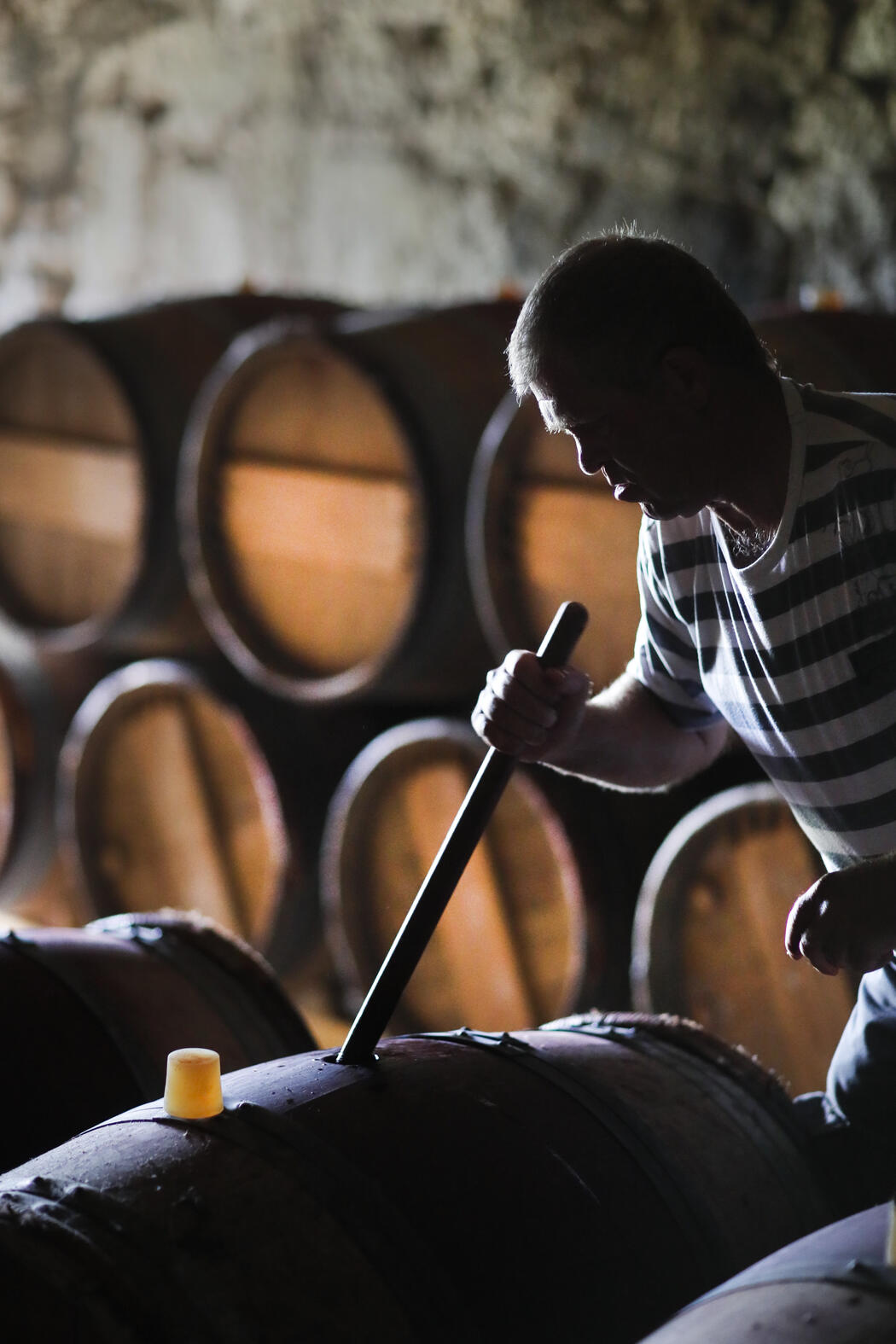 Weingut Le Puy Terroir