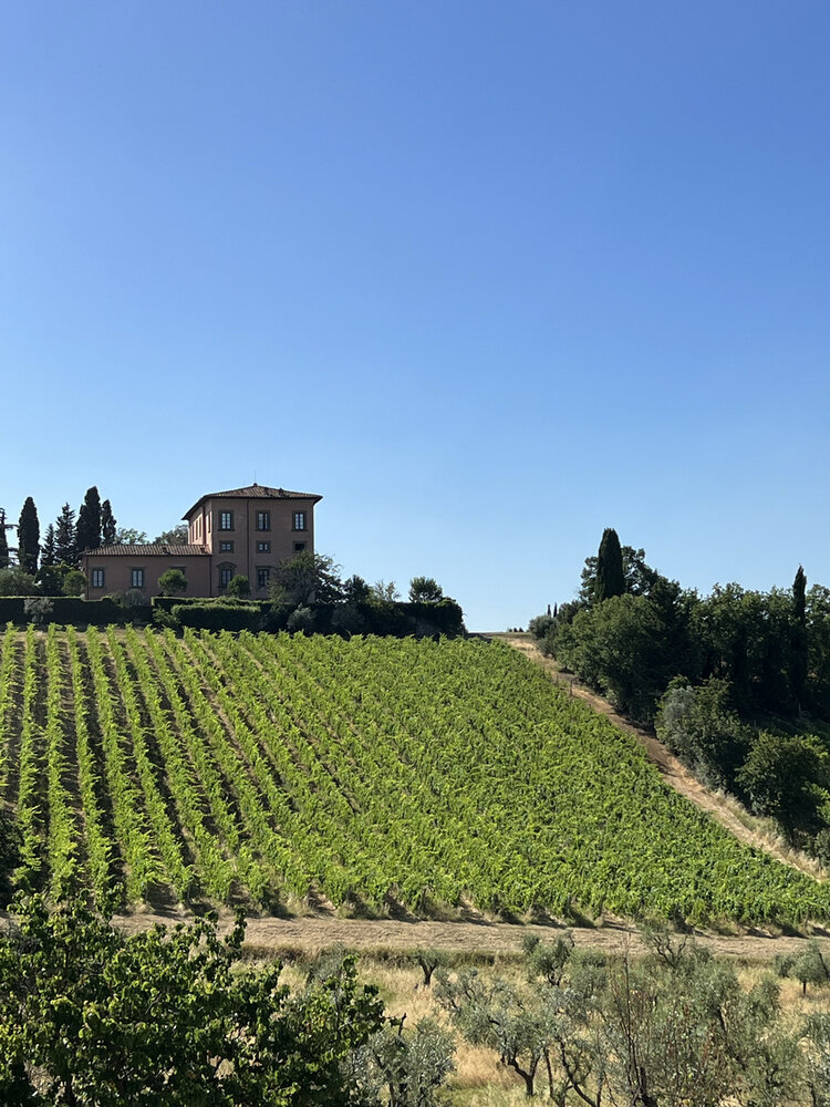 Weinproduzenten aus Italien