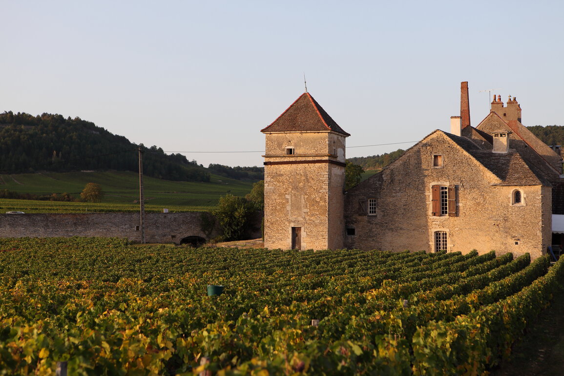 Terroir von Clos du Moulin aux Moines